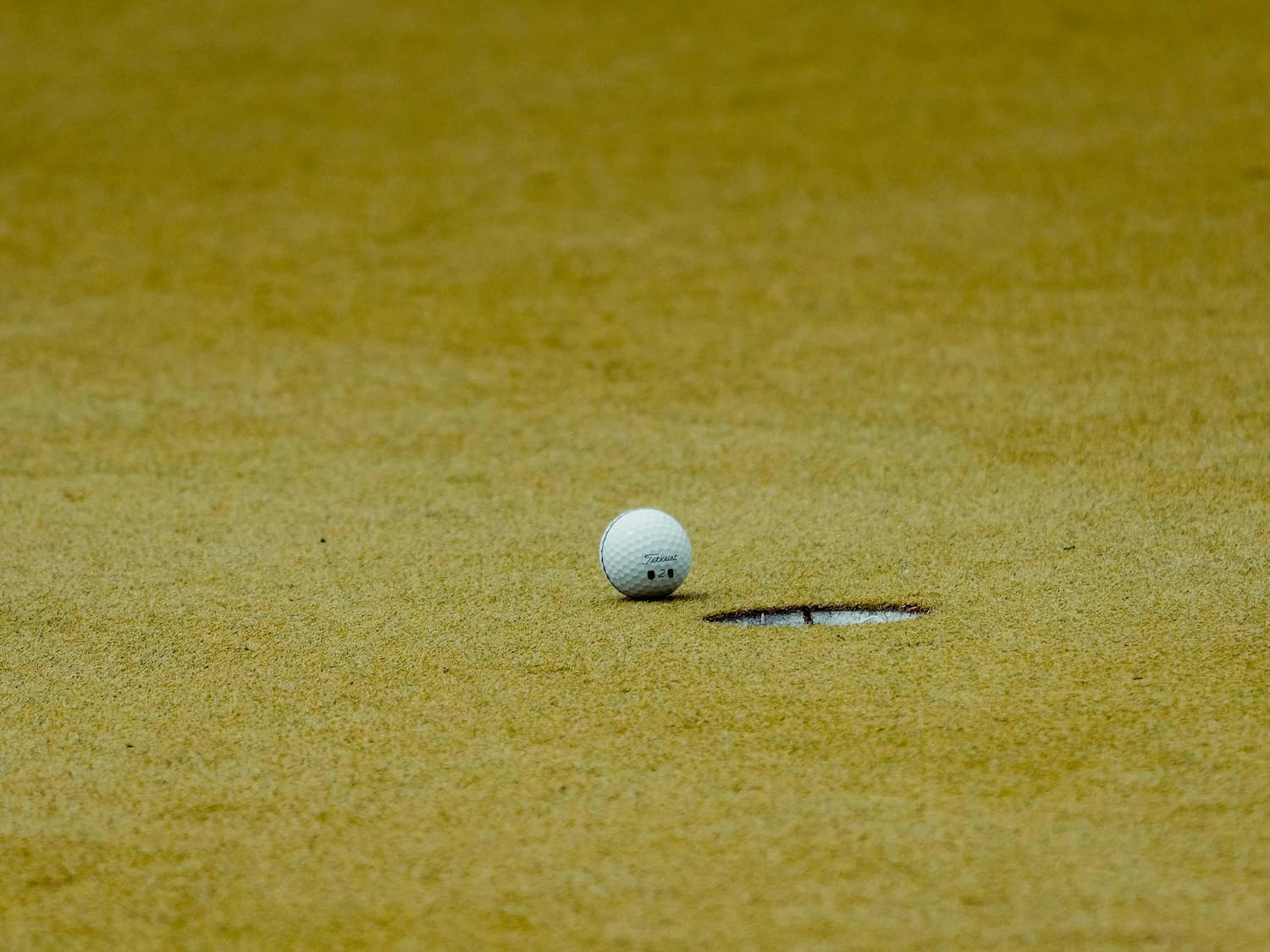 Sports Betting Myths